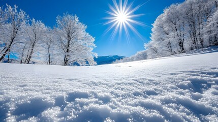 Obraz premium Winter wonderland