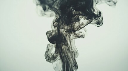 Abstract Black Smoke Swirls Against a White Background