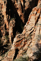 zion national park 