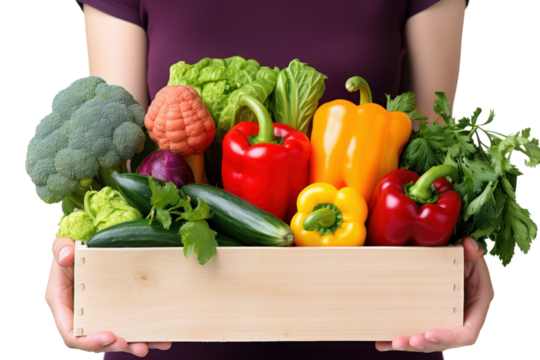 Close-up of a farmer's hands holding a box of vibrant, colorful vegetables as a woman reaches to take it isolated on white background