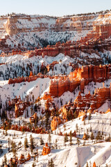 bryce canyon national park 