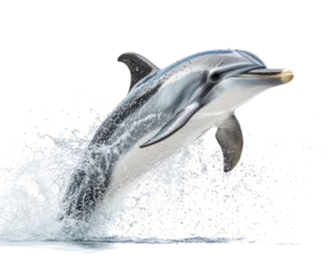 Gordijnen dolphin jumping out of the sea on transparent background © Al-Mamun