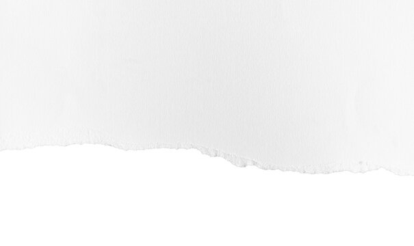 White ripped piece of paper isolated on transparent background PNG file