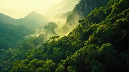 Fototapeta premium Lush Green Forest with Misty Mountain Background