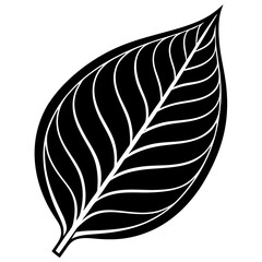 Obraz premium tea leaf silhouette on white background