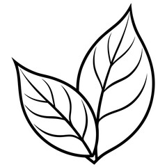 tea leaf on white background line art