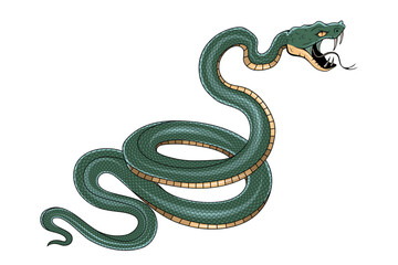 Snake illustration. Tattoo elements of snake skin. Vector illustration sketch of a traditional Chinese mythical animal. Green snake