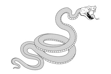 Obraz premium Snake illustration. Tattoo elements of snake skin. Vector illustration sketch of a traditional Chinese mythical animal. Green snake