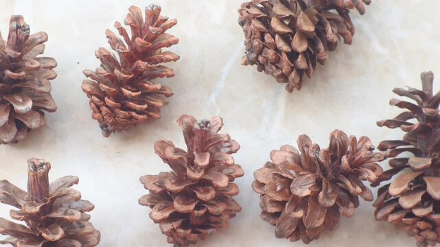 christmas background with pine cones