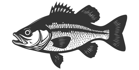 Fototapeta premium Fish vector Art & Illustration