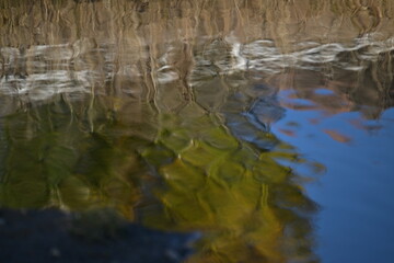 reflection of trees in water, autumn, nature