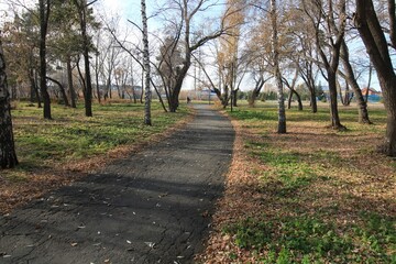 footpath in the park