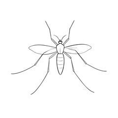 Mosquito icon outline style vector 
