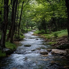 A slow-flowing river amidst trees makes me feel a sense of tranquility in nature.