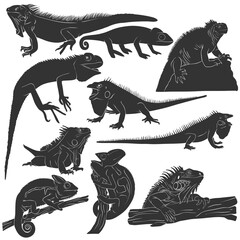Vector Illustration Set of Lizard and Iguana Silhouettes