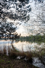 A serene and tranquil lakeside scene featuring vibrant greenery and a picturesque sunset reflection