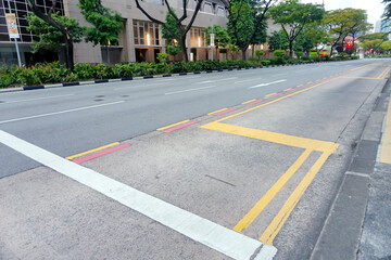 Obraz premium Asphalt Road and Sidewalk in The City Street With Trees