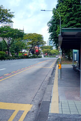 Asphalt Road and Sidewalk in The City Street With Trees