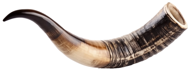 Shofar horn isolated on transparent background. Ancient musical horn typically made of a ram's horn