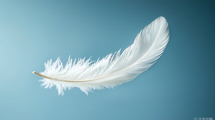 A Beautiful White Feather Gracefully Floating in the Air