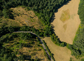 A forest and a field with a road in between