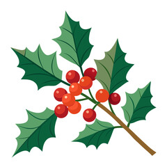holly leaves and berries
