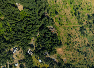 A forest with a few houses in the background