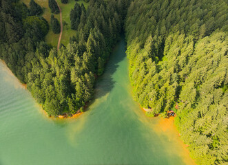 A green and brown river with trees on both sides