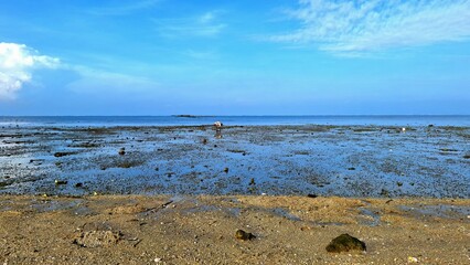 Beach at low tide.