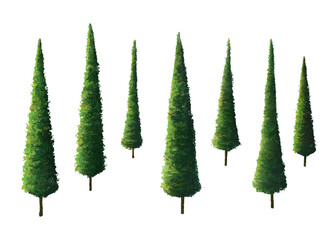 Set of Minimal Vibrant Green Pine Trees isolated on the White Background, Perfect for Web, Social Media, Branding, Advertising, Print, and Holiday Promo Designs.