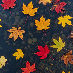 Autumn Leaves in Rippling Stream Background