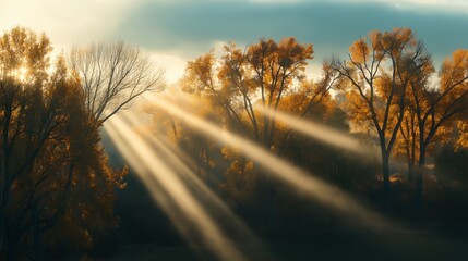 Serene Dawn Light in Forest Landscape
