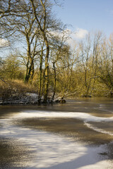 Winter scene in a park, UK.