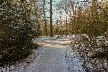 Winter scene in a park in the UK, a frosty snowy start with blue skies.