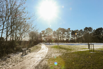 Obraz premium Winter scene in a park in the UK, a frosty snowy start with blue skies.