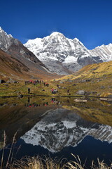 landscape in the himalayaslandscape of Anapurna south  reflected on the lake,blue sky,brown grasses , snow mountain.reflection of mountain on the lake,the way between  mbc to abc.himalaya range
