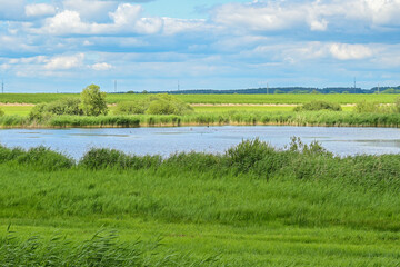 Obraz premium Mit dem Hausboot über die Havel in der Lünower Streng– Entspannender Wochenendtrip auf dem Wasser durch Brandenburg an der Havel, Deutschland