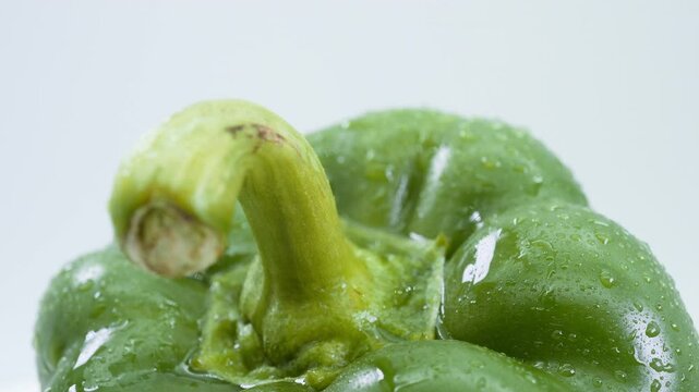 Close-up of fresh green bell pepper with water droplets