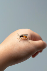 A close-up encounter a bug on a hand highlighting the intricacies of insects and human interaction