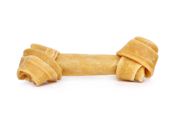 one dog bone isolated, png