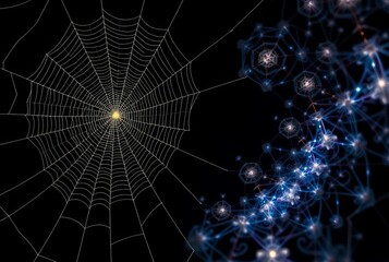 _ . Cobweb and Fractal Art Generate a fractal image inspired by