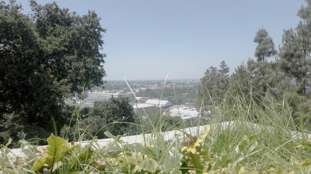 A scenic shot of a small city from ontop of a hill with a green grassy foreground and trees stretching into the background landscape