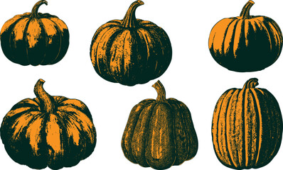Halloween Pumpkin vector set