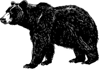 Black bear in silhouette, standing sideways, facing left.