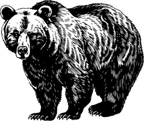 Obraz premium Black and white illustration of a bear.