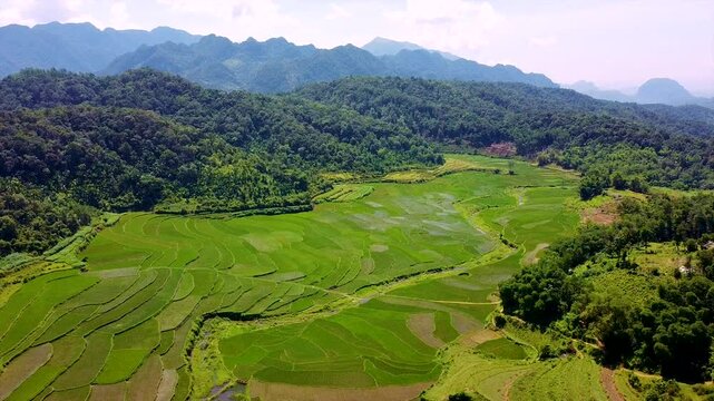 Drone Vietnam - Pu Luong - Rice fields