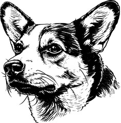 Close-up black and white illustration of a dog's face.
