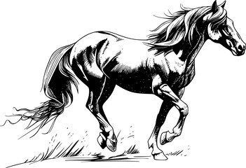 Black and white illustration of a horse running with its mane and tail flowing.