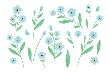 Forget me not flower set. Collection of plant elements for design. Delicate blue flowers. Vector illustration.