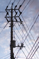 電柱のシルエット